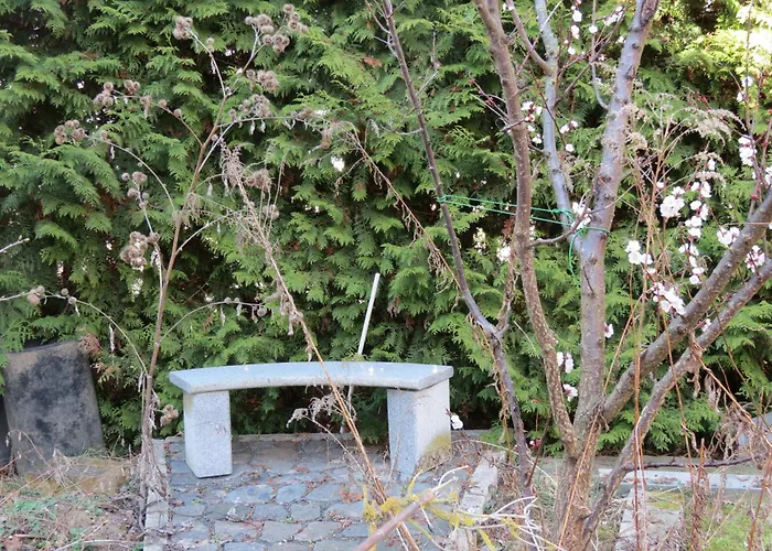 Apartment 2 Am Zwenkauer See-frisch Renoviert *